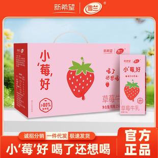 ��ϣ��ѩ�mСݮ�ò�ݮţ��250g*10�� /����ζ�W������̹��Sֱ�l