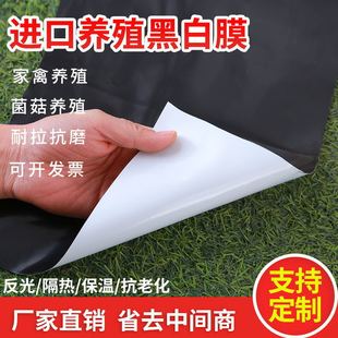 Breeding Greenhouse Black and White Film Insulation Film Cooling Reflective Metalloporphyrin New Material Edible Fungus Shed Film Anti-Aging Waterproof