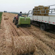 �������A�����C�����C���A����ʰ�C�ն��������һ�w�C��ޣ��ʰ�C