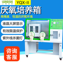 ϺS YQX-II YQX-T B