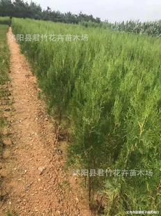 ���ع����Ȱذ�ľ���С�繤�����·�G�����������l