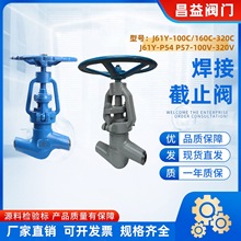 ����ʽ��ֹ�yJ61Y-100C 160C320C�վ�t�f�J61Y-P54 57  320v