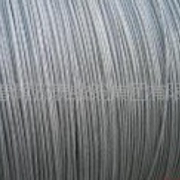 供应铝绞线、钢芯铝绞线LJ  LGJ