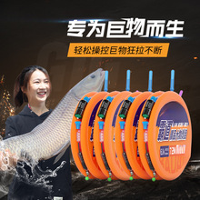 佳钓尼大物线组主线成品套装台钓鱼青鱼草鱼鲢鳙巨物专用进口鱼线