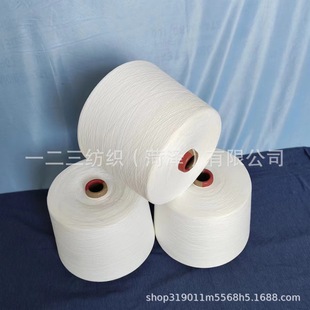 Xintai Shengya Textile Co.,Ltd.--2025.02.12Slj