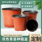 双色多肉花盆花盘育苗塑料盆控根器软塑料容器植物