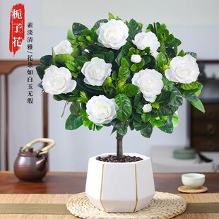 ���U�����Ǘd�ӻ������ļ�ֲ���̨�����_���Gֲ�������Ϙ������