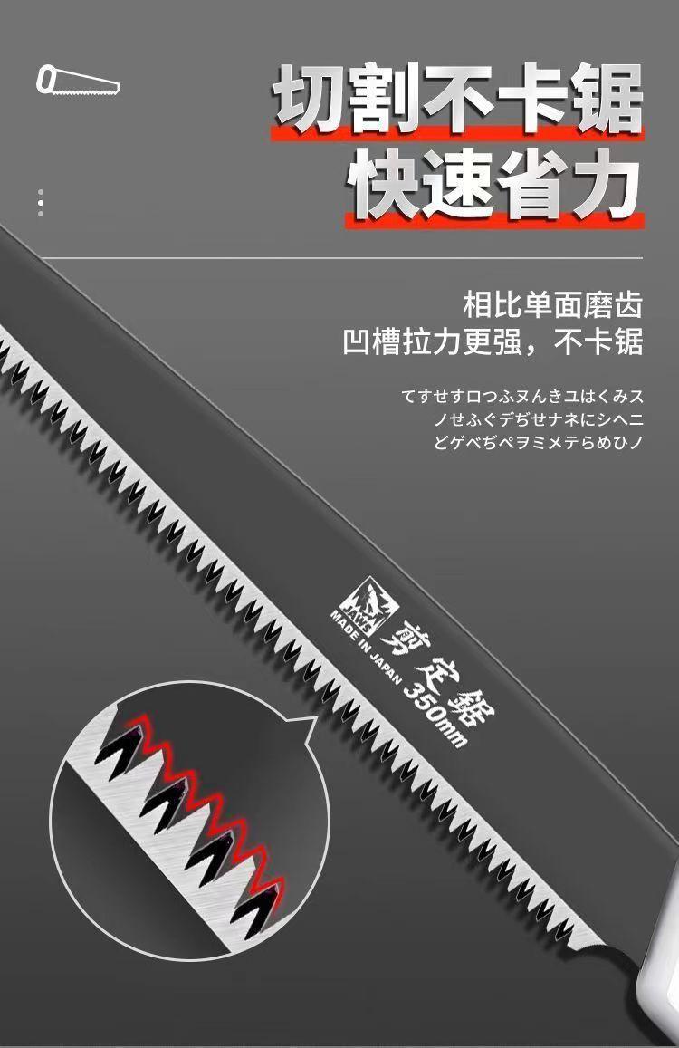 DM_20241022164322_011