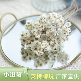��ɫС�r��Ϟ��С�y�� �ɻ�diy���ϰ��[������������ˇ�ɻ����l