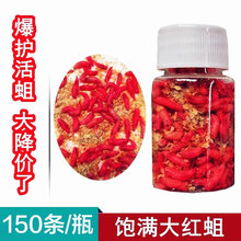 ��~��̖�t���x���w�a�~�D�r�������Ϫʯ���R�ڻ��x���~��������