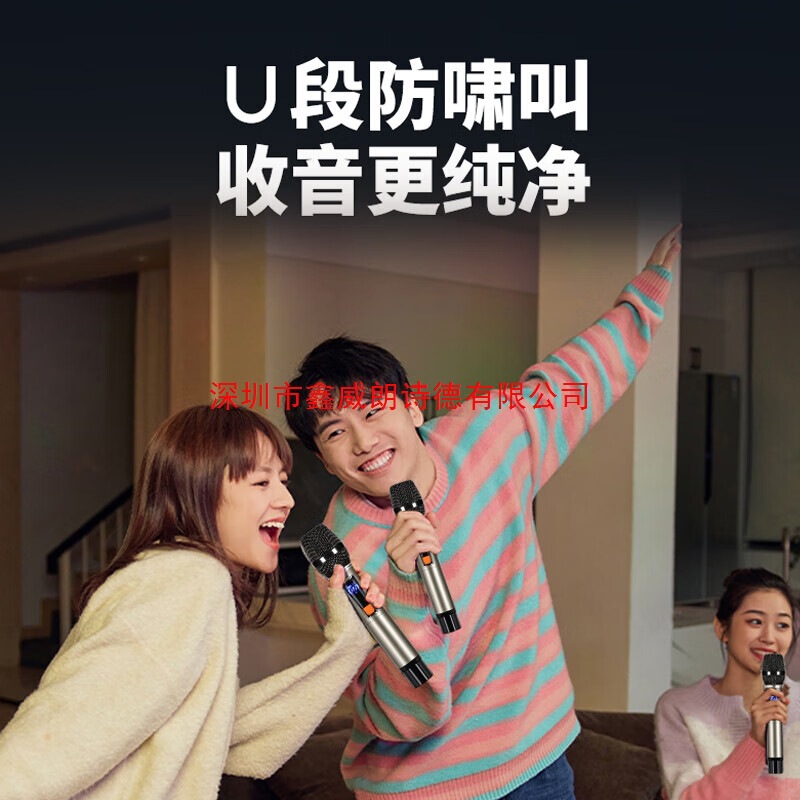 索爱充电无线麦克风U段家用KTV唱歌演出一拖二金属话筒|undefined