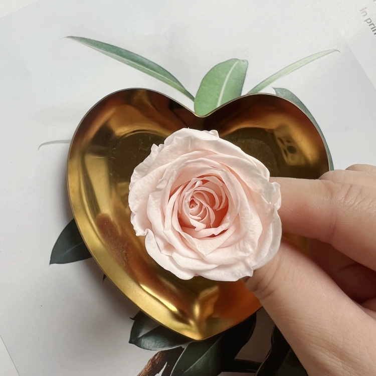 Материалы для DIY вечной жизни цветка, класс B, голова вечной розы 2–3 см, маленький брелок-розочка с основным материалом