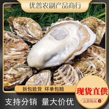 ��ɽ����r���ك���ɽ����ش�ԭ�{ĵϠ�r��������r�������ß���