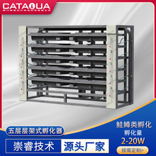 崇睿设计层架式孵化器 精准控温 鲑鱼 虹鳟鱼 循环水鱼卵孵化盘