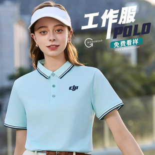 Short-Sleeved Ice Silk Polo Shirt Custom Work Clothes Printed with Logo Event Promotion Corporate Culture Advertising Shirt T-Shirt Wholesale
