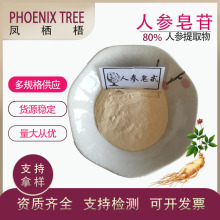 现货批发人参皂甙粉80%人参皂苷粉人参提取物人参皂苷rh2质量保证