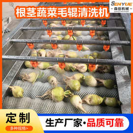 定制根茎果蔬平行毛辊清洗机304不锈钢水循环红薯木薯毛刷清洗机