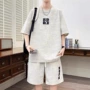 宽松短袖夏季运动t恤