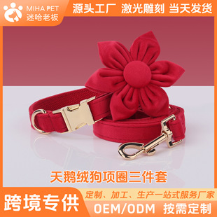 �Թ��ϰ��¿����Z�q�����Ȧ�ɐۻ�������Y�����K���b�ɼ������