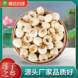 莲子