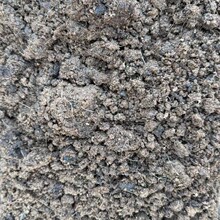 lliSЙCBNNͨЙCϹϹ߲ˌ÷