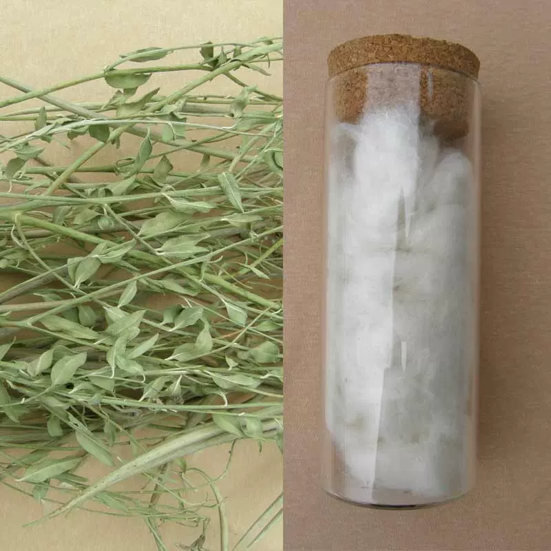 【直销新疆原生态】 抑菌 远红外 罗布麻纤维