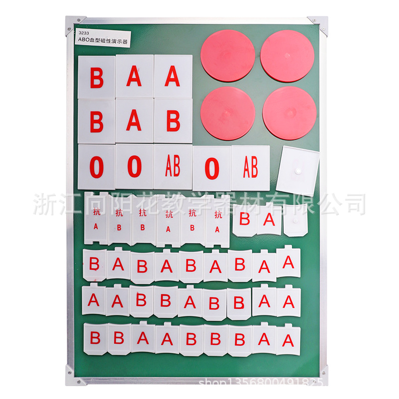 厂家销售3233 ABO血型磁性演示器生物医疗教学模型