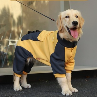 Dog clothes autumn and winter golden retriever medium-sized large dog pet spring and autumn big dog Labrador four-legged sweater winter