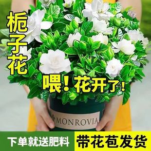 ������d�ӻ����������ļ��_�������҃�ˮ�໨�ܾGֲ���������՚�