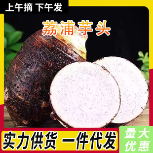 �V���������^�r������󂀷�Ŵ���٬F��ë���^�߲����^һ�����l