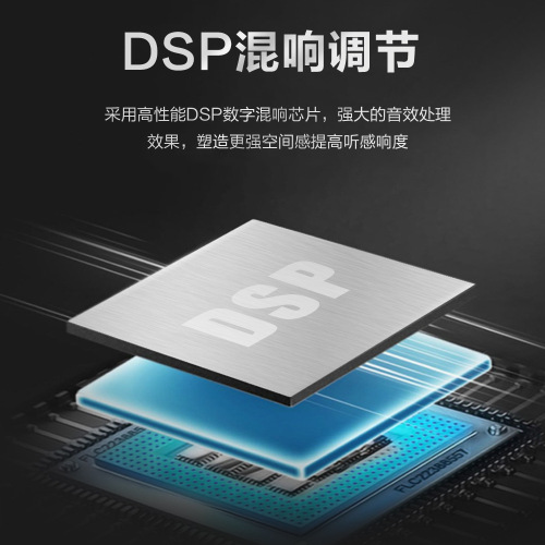 Cross-border private model U-section wireless microphone for two, TV KTV mobile computer singing dynamic microphone