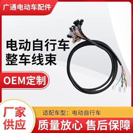 其他电动车;电动车配件;电动车控制器