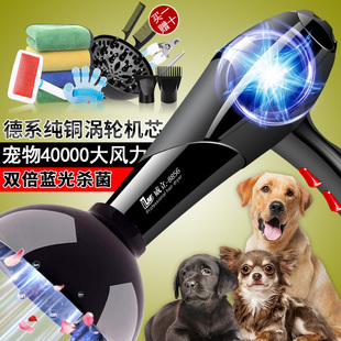 Pet Shop Hair Dryer, Quick-Drying All-In-One Bathing Pet Dog Drying Large Dog Hair Dryer