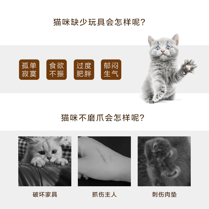 猫转盘主图5.jpg