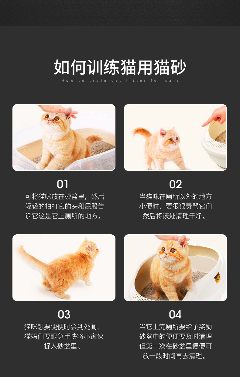 b717ca2d-fa2c-4467-9d26-1311f43c23a4.jpg