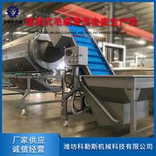 �B�mʽëˢ��ϴȥƤ���a�� ����ȥƤ�O�� ��������ȥƤ���a��