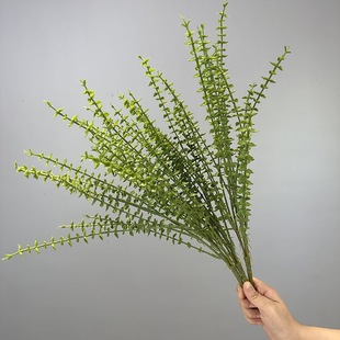 ��������F���ȼ����Ҿ��bGֲ�辰������Ŀ羳�����ȼ����~