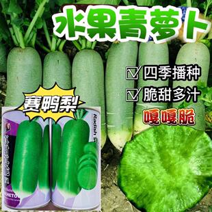 �������I�Bˮ�����}���N���߲˷N���ļ����N���ԾGо�}���N��