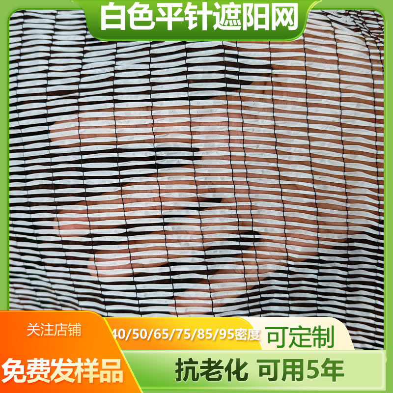 白色遮阳网65%厂家直供 樱桃草莓果树大棚蔬菜反光遮阳网太阳网
