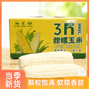 �|����Ŵ����ճ���״ּZ�������rŴ���״����հ��b�������l