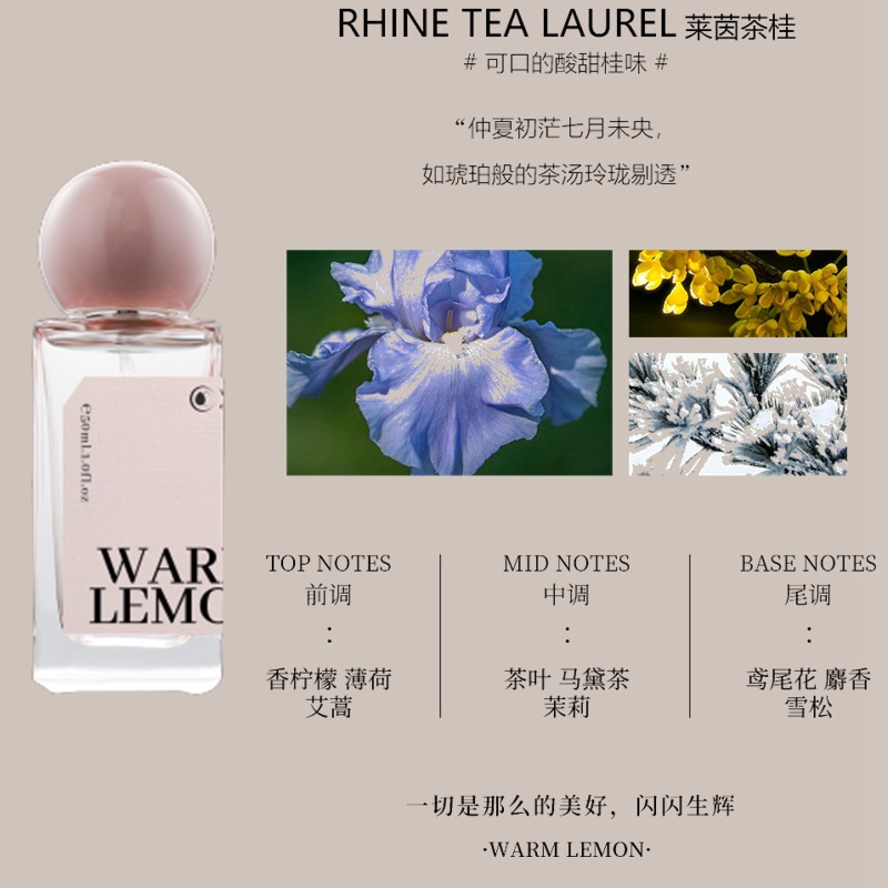50ml
