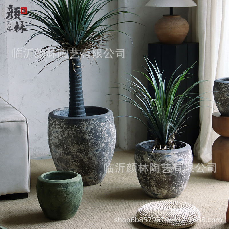 Retro de alto nivel gran calibre centro comercial hotel lirio bambú dragón árbol de sangre pájaros del cielo gran maceta verde