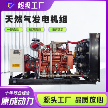 康成动力300KW燃气发电机 养殖场备用300千瓦沼气天然气发电机组