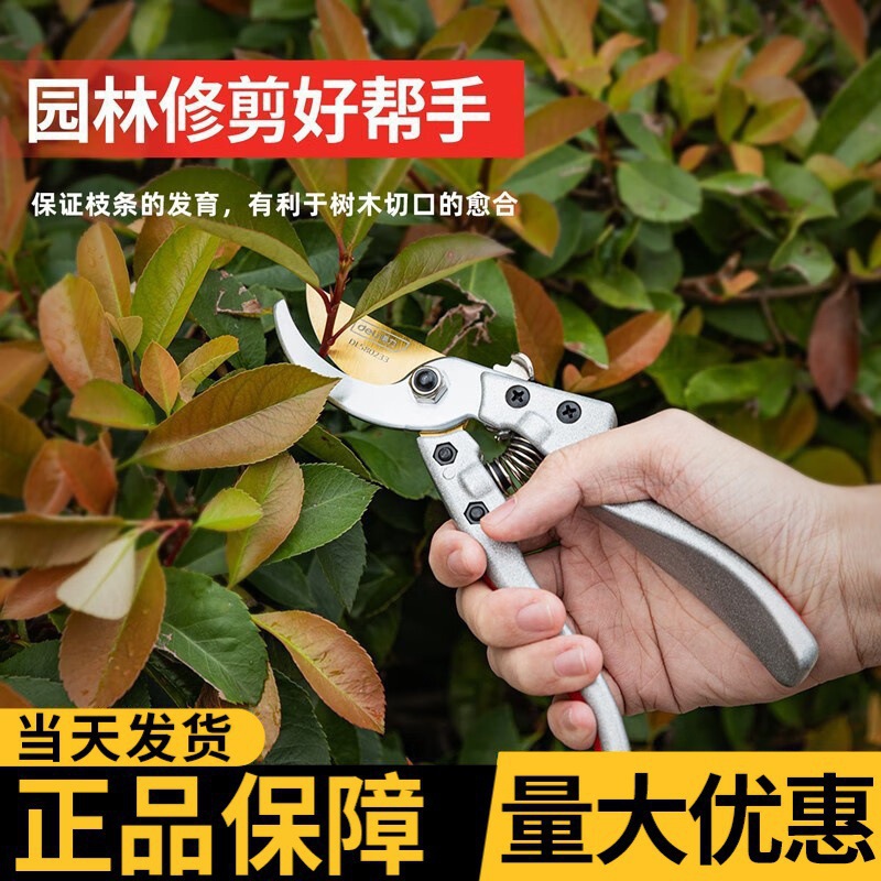 得力（deli）剪枝剪刀园林花艺修剪树枝剪刀果树剪刀粗大花剪园艺