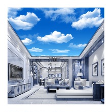 9ZRT3d立体天空天花板墙布蓝天白云主题酒店吊顶墙纸客厅卧室海鸥