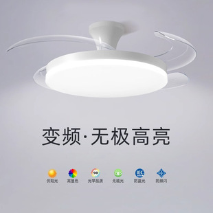 Ra97 Full-Spectrum Ceiling Light Panel, Thin and Translucent, Variable Frequency Invisible Fan Light, Smart Home Low-Floor Zhongshan Lighting Fixtures