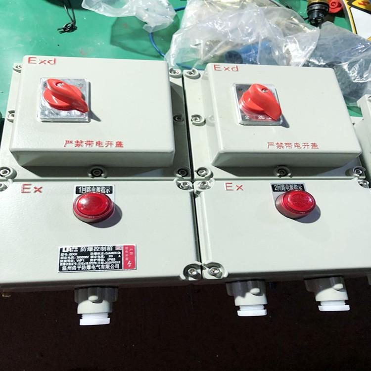 防爆断路器 BLK系列增安型防爆断路器厂家 铸铝材质