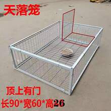 收鸽笼捕鸽抓鸽子笼全自动只进不出信鸽天落笼撞门加密加粗垒德株