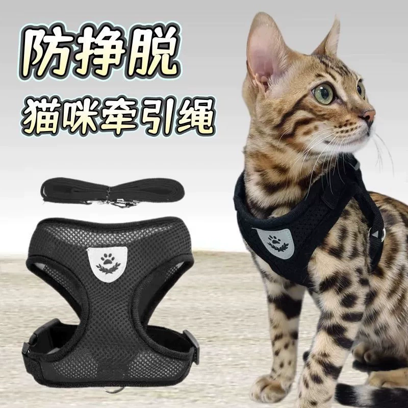 Поводок для кошек и собак, товары для домашних животных, шлейка для собак маленького и среднего размера Teddy Corgi, оптовая продажа, цепочка для защиты от потери, поводок для выгула собак