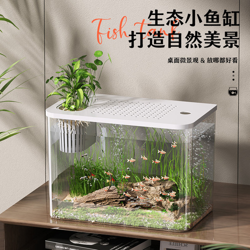 Ecological fighting fish tank living room mini large and small household aquarium transparent goldfish tank turtle tank with lid landscaping tank
